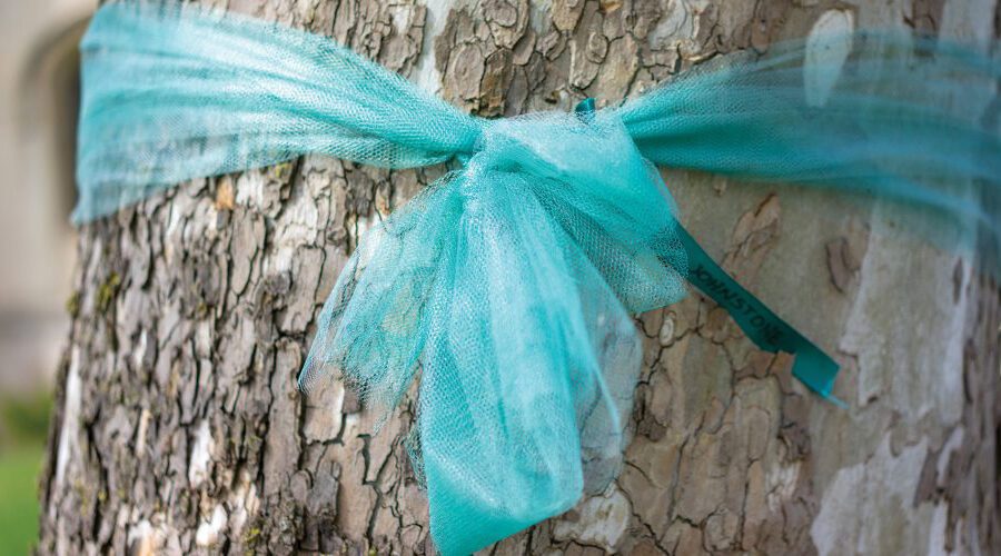 Teal Ribbon on a Tree