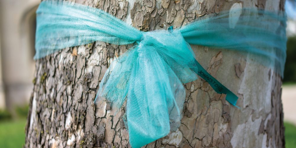 Teal Ribbon on a Tree