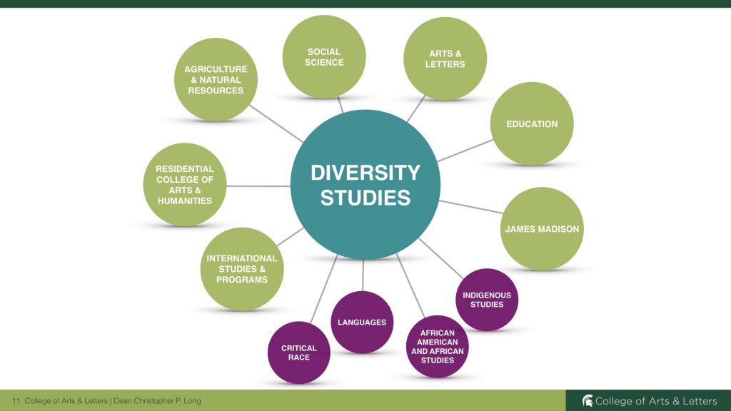 Strength of Diversity Studies